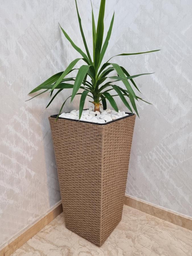Hotel Autograph Dedoplis Tskaro المظهر الخارجي الصورة
